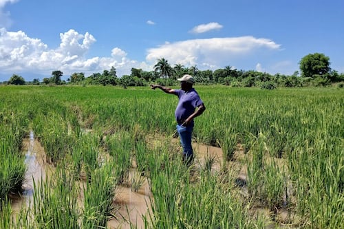 El canal “imparable”: la apuesta de una comunidad haitiana para sobrevivir a la sequía