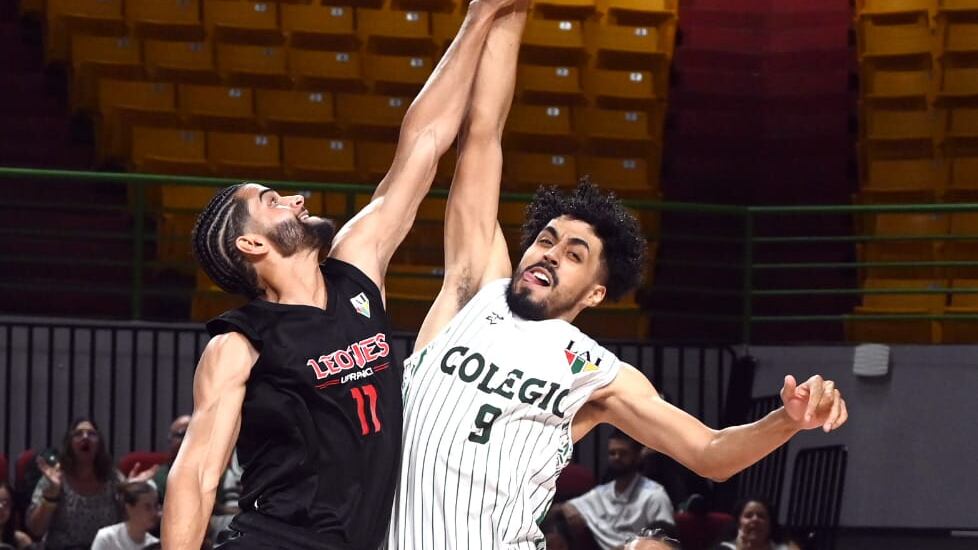 Tarzanes de la Universidad de Puerto Rico (UPR) de Mayagüez.