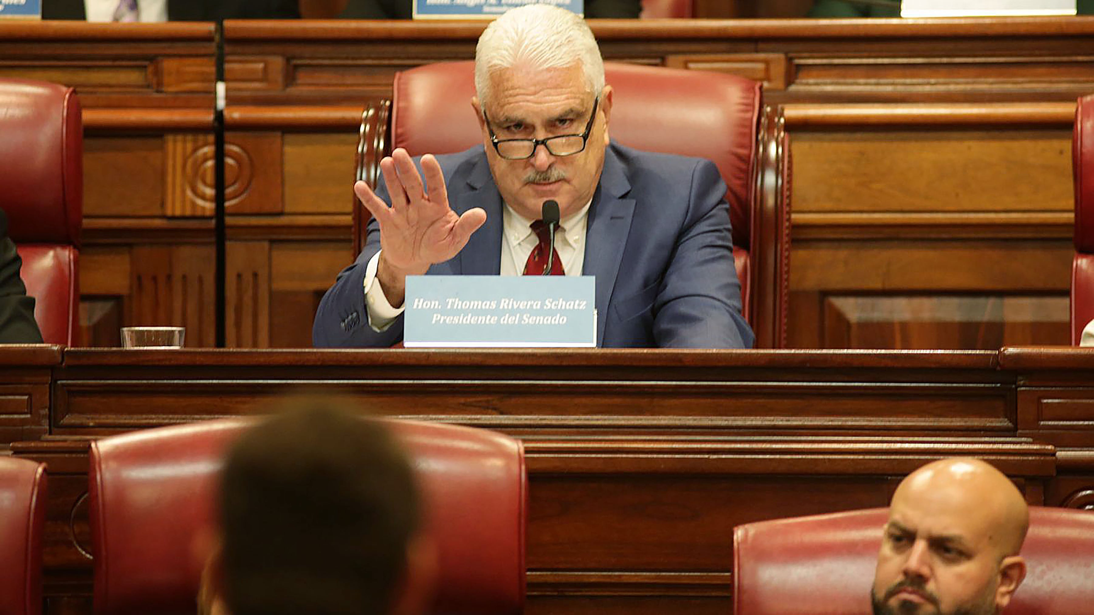 Presidente del Senado, Thomas Rivera Schatz