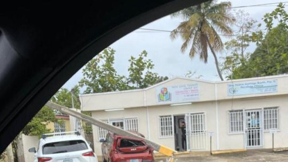 Árbol tumba un poste y cae encima de un carro en Arecibo