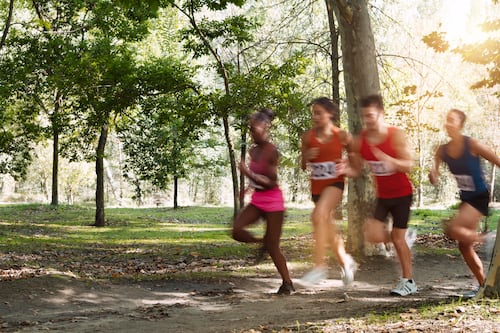Toa Alta celebra la “Vía Libre 2026″