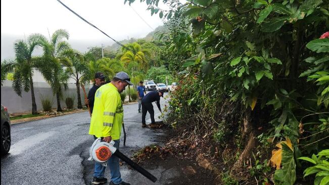 Municipio de Aguas Buenas