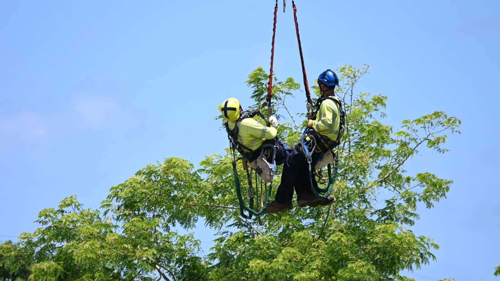 Se sustituyeron equipos que llevaban 30 años de operación.