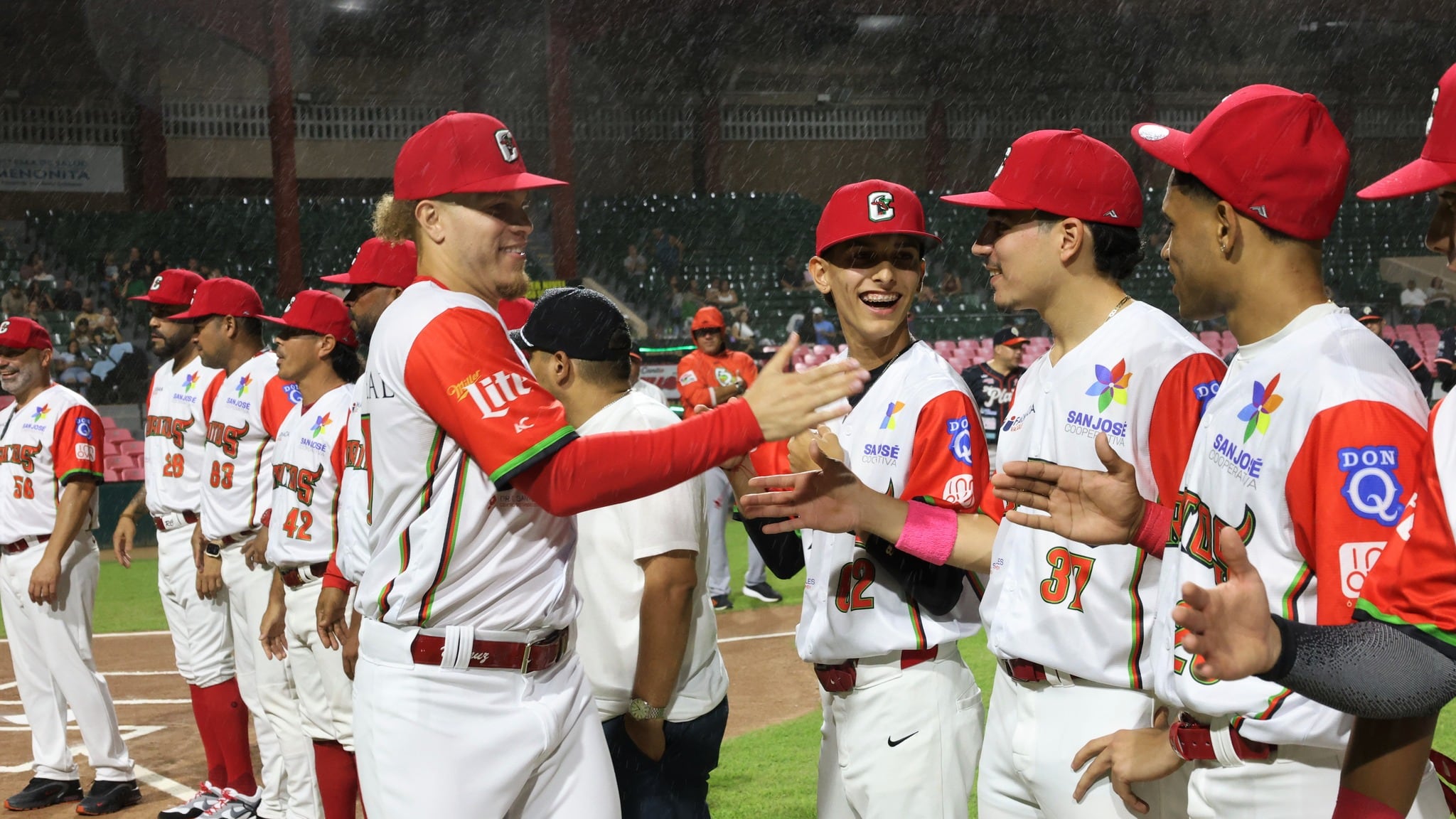 Los Toritos de Cayey en la pelota Doble A.