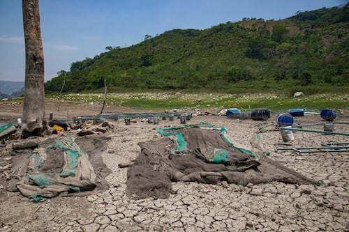 Estudio: El calor extremo y las sequías serán cinco veces más frecuentes a finales de siglo