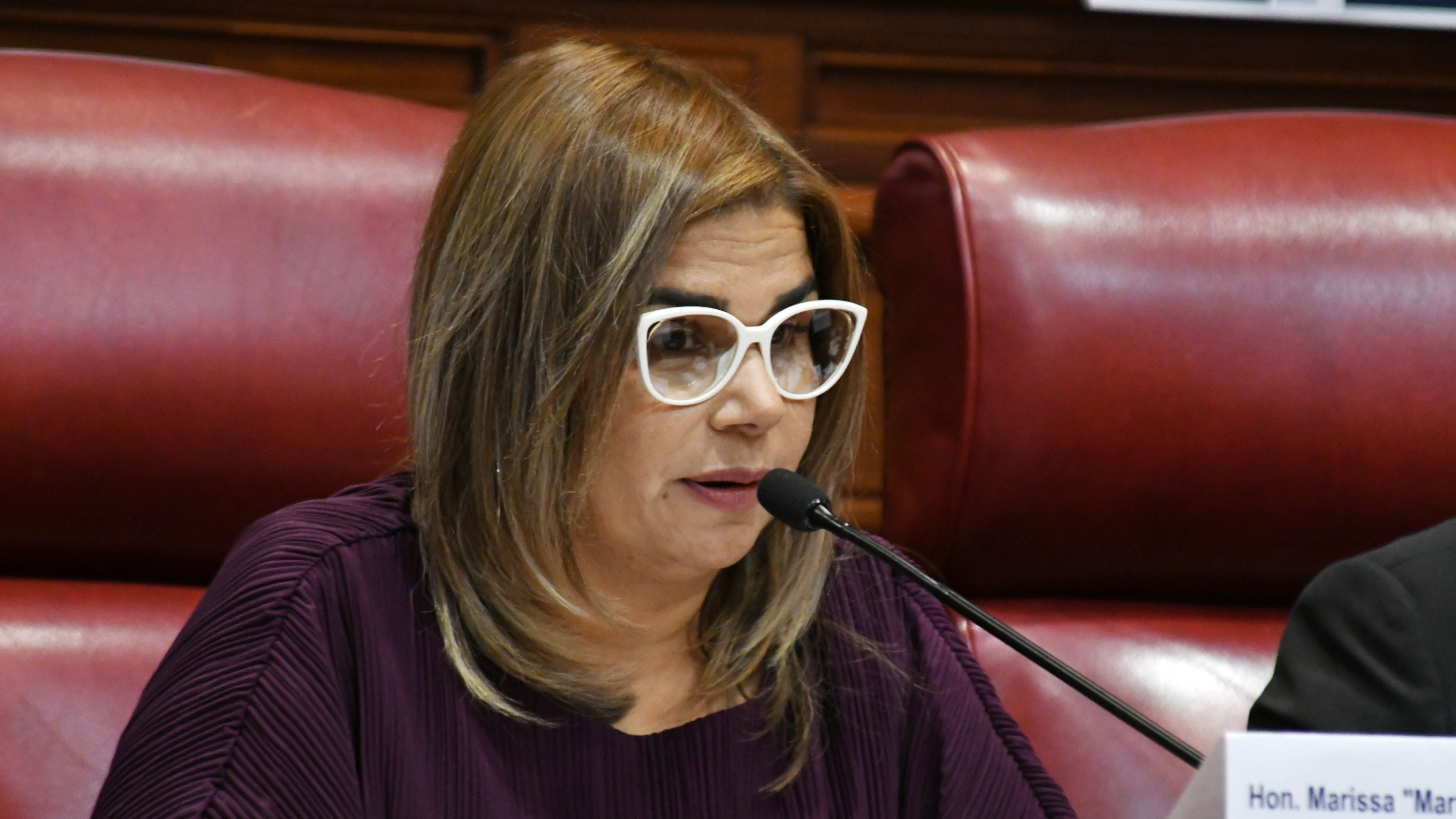 La senadora y vice presidenta del Senado, Marissa Jimenez Santoni