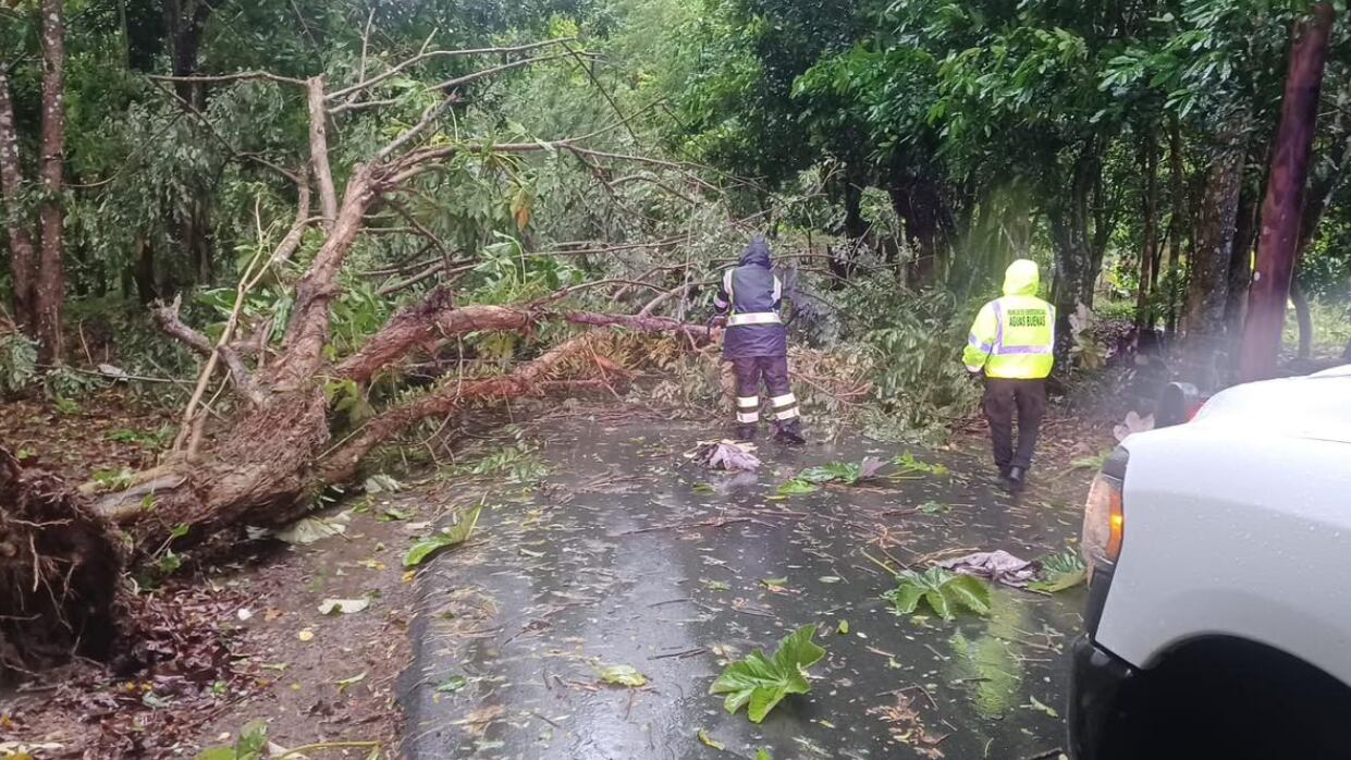 Municipio de Aguas Buenas