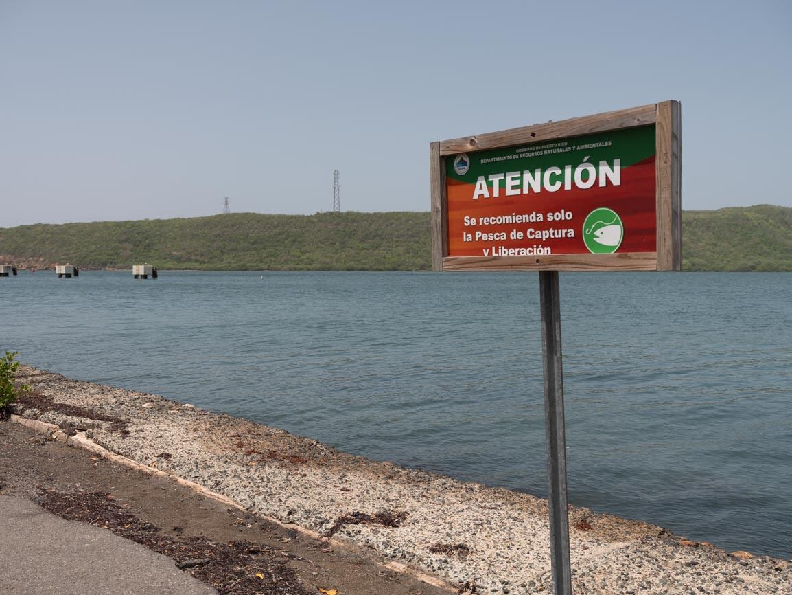 Uno de los letreros instalados a orillas de la Bahía de Guánica por biólogos del Bosque Estatal de Guánica, conocido popularmente como el Bosque Seco de Guánica.
Foto por José Miguel Morales | Centro de Periodismo Investigativo