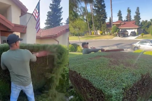 Migrante en Estados Unidos regala servicio de jardinería a cliente que lo apoyó durante 10 años