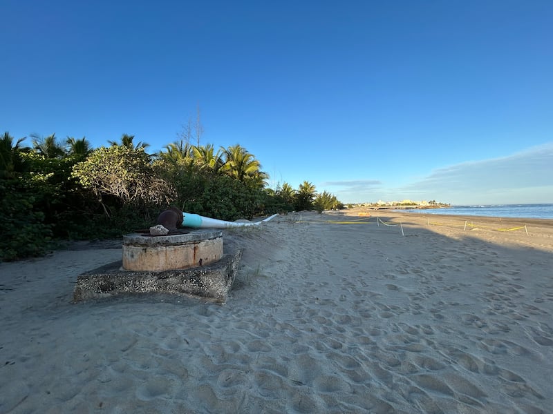 Los tinglares anidan en la playa Abacoa por donde recorre parte del tubo provisional.

Foto por Gabriela Carrasquillo Piñeiro | Centro de Periodismo Investigativo