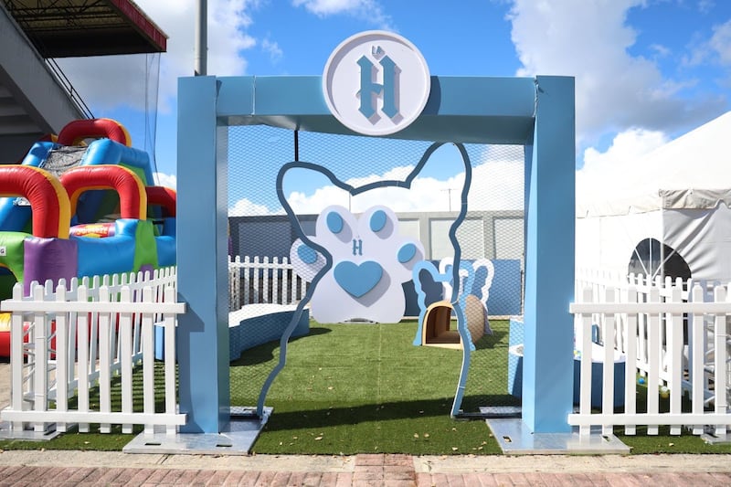 Parte del centro de adopción durante “SauceGiving” 2025 (Catia Martínez)