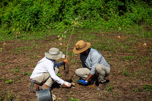 Happy Givers y Master Paints se unen para llevar comida a adultos mayores en Morovis