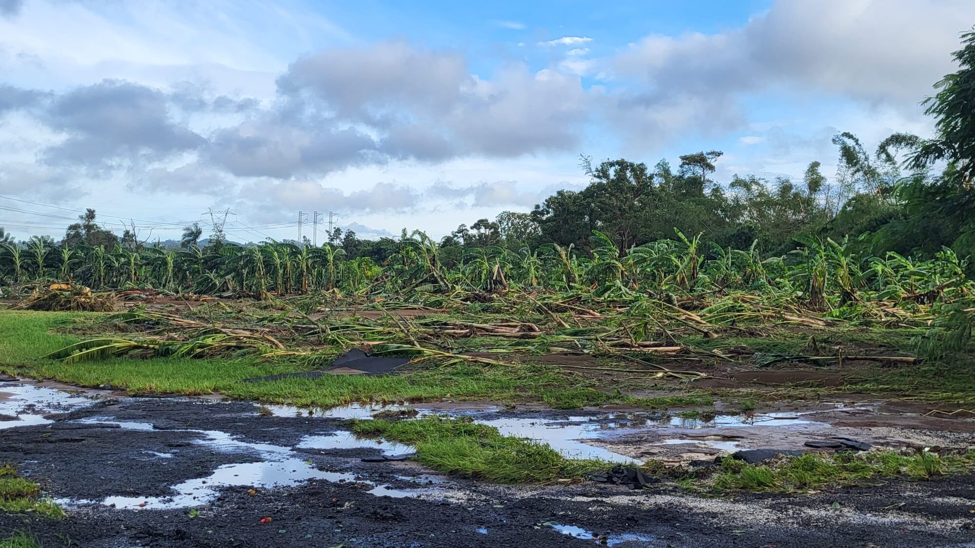 Impacto de Fiona sobre la agricultura