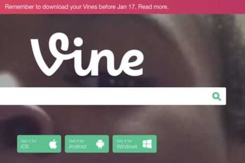 Sí, es verdad: Vine ha sido revivido por el creador de Twitter