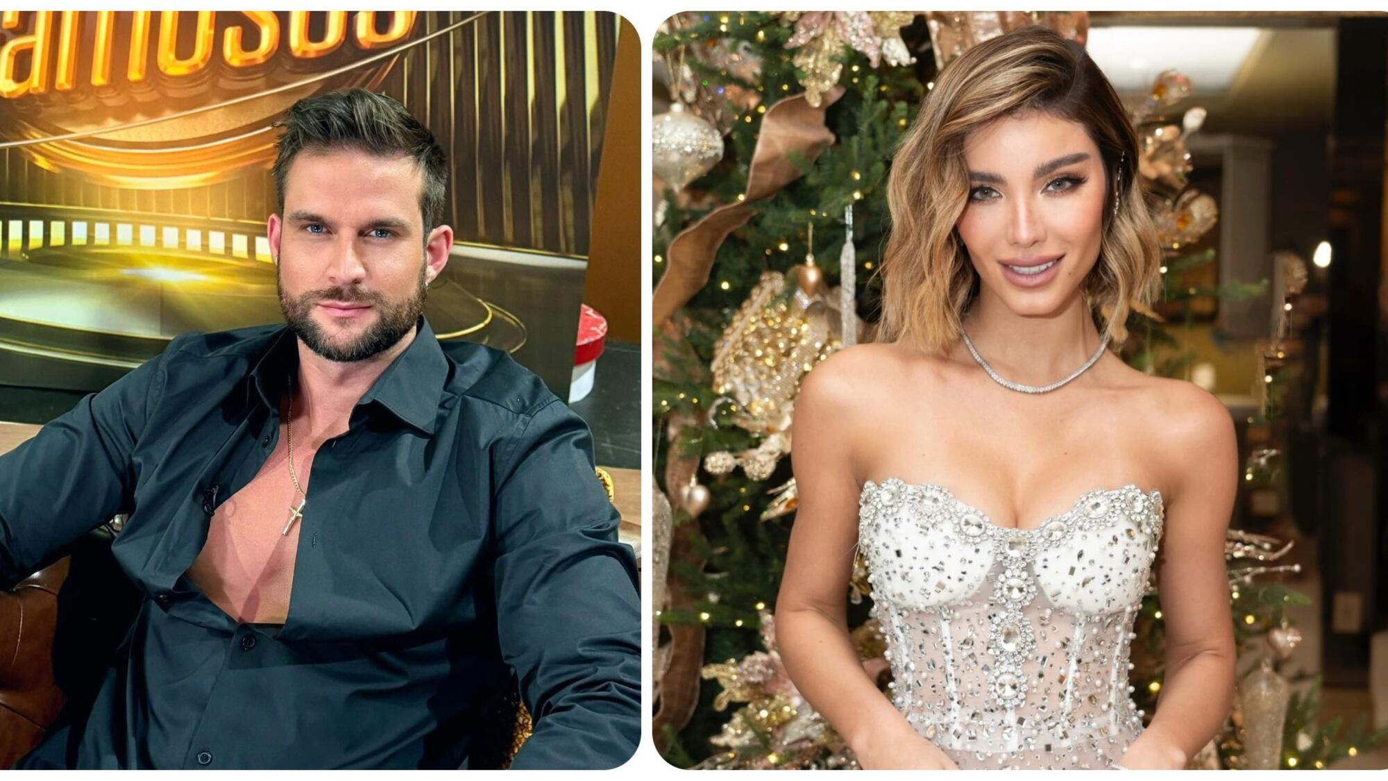 El actor ha intentado conquistarla desde el inicio