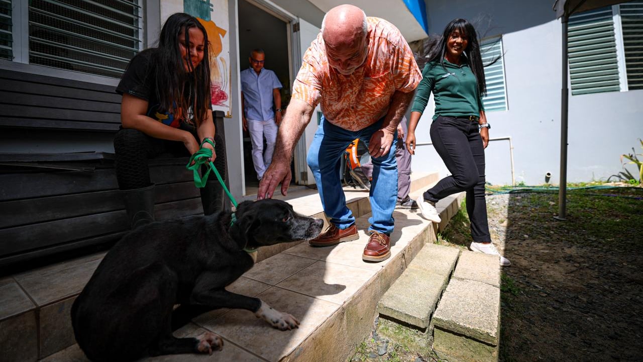 Más de 100 perros y gatos reciben servicios veterinarios en santuario de Humacao