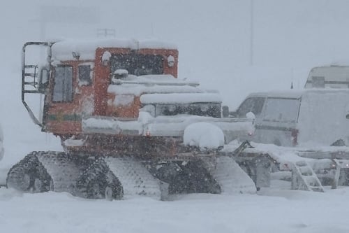 Recuperan cuerpos de nueve esquiadores tras avalancha en California