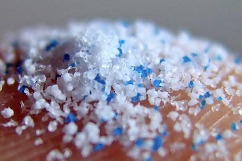 ARPA-H lanza programa millonario para combatir los microplásticos tóxicos en el cuerpo humano