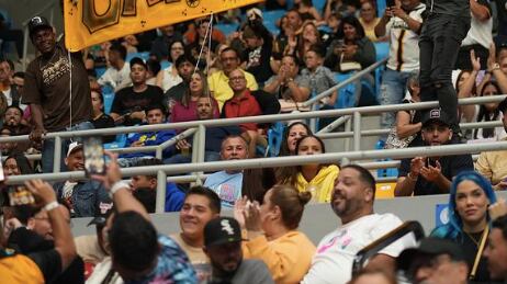 Capitanes de Arecibo