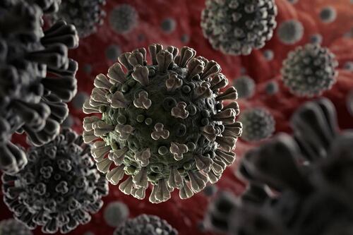 Coronavirus: no sólo es a los pulmones, el COVID-19 también puede dañar estos órganos vitales