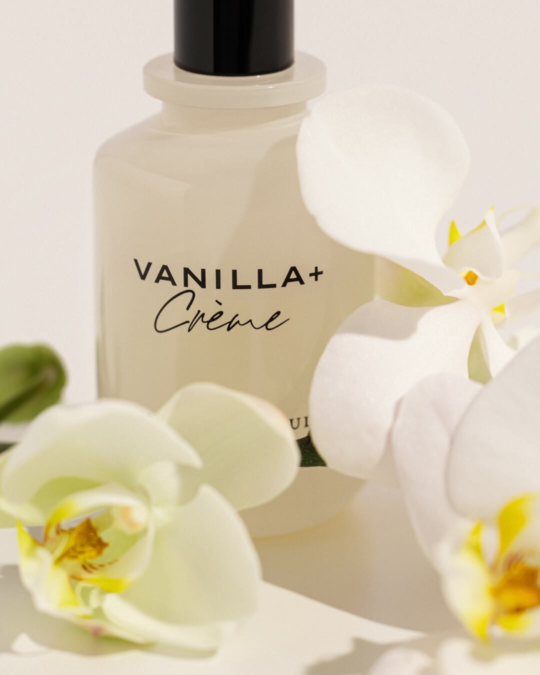 Diseño de la fragancia.