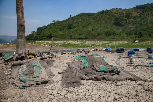 El calor extremo y las sequías serán cinco veces más frecuentes al final del siglo