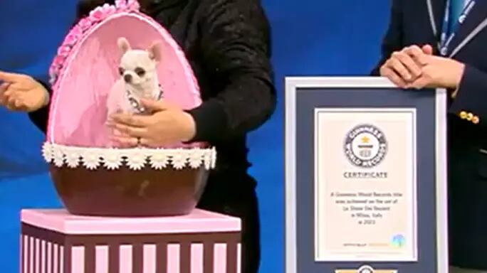 Tiene una dieta a base de pollo y salmón