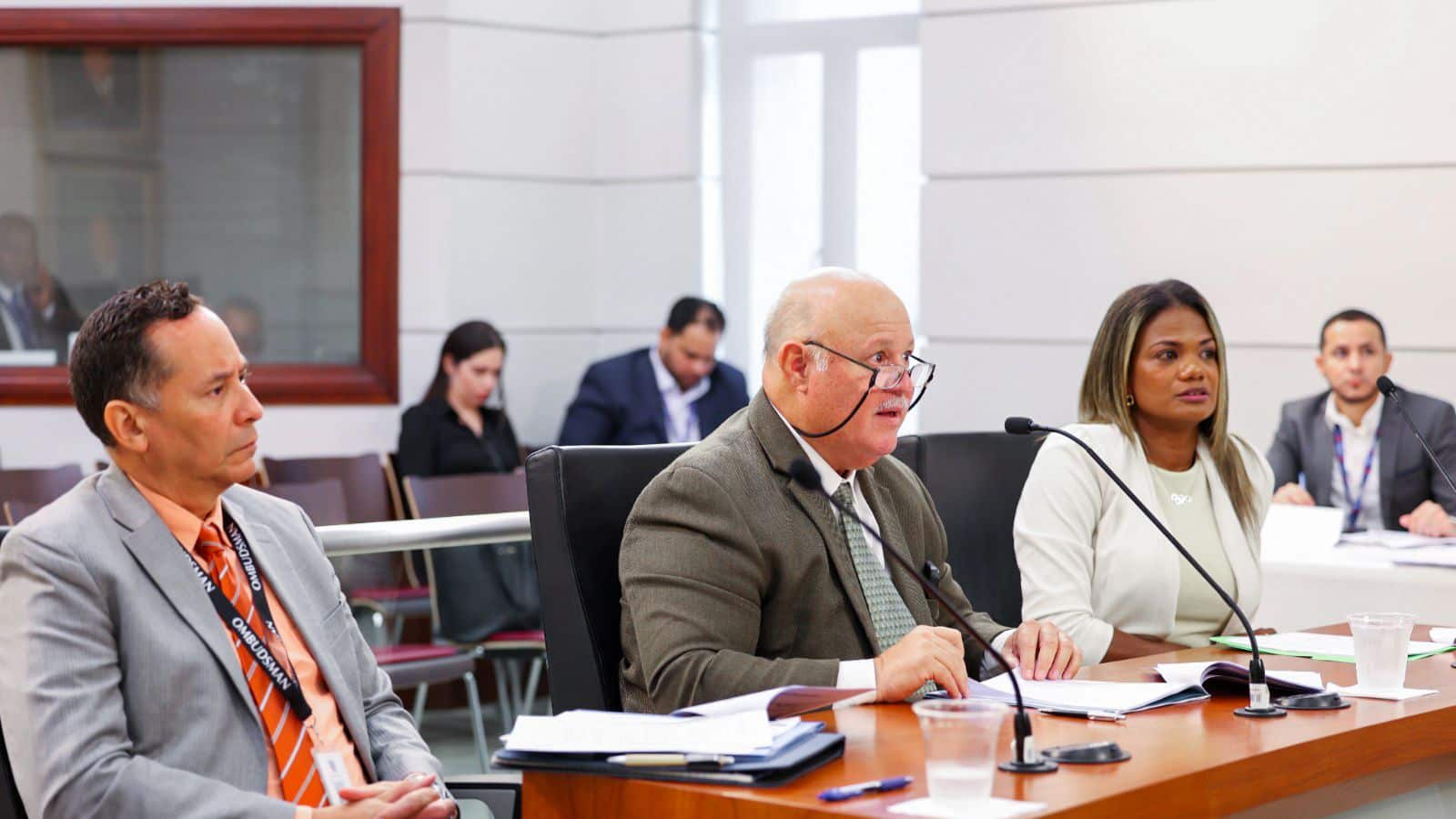 Comisión de Juventud, Recreación y Deportes - Deponentes