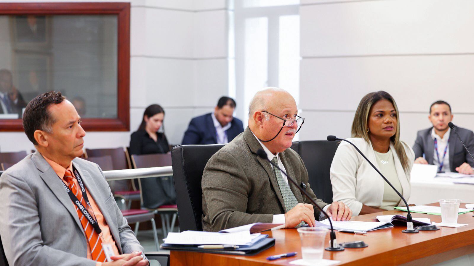 Comisión de Juventud, Recreación y Deportes - Deponentes