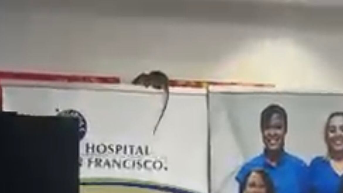 Roedor encima de banner de Hospital San Francisco