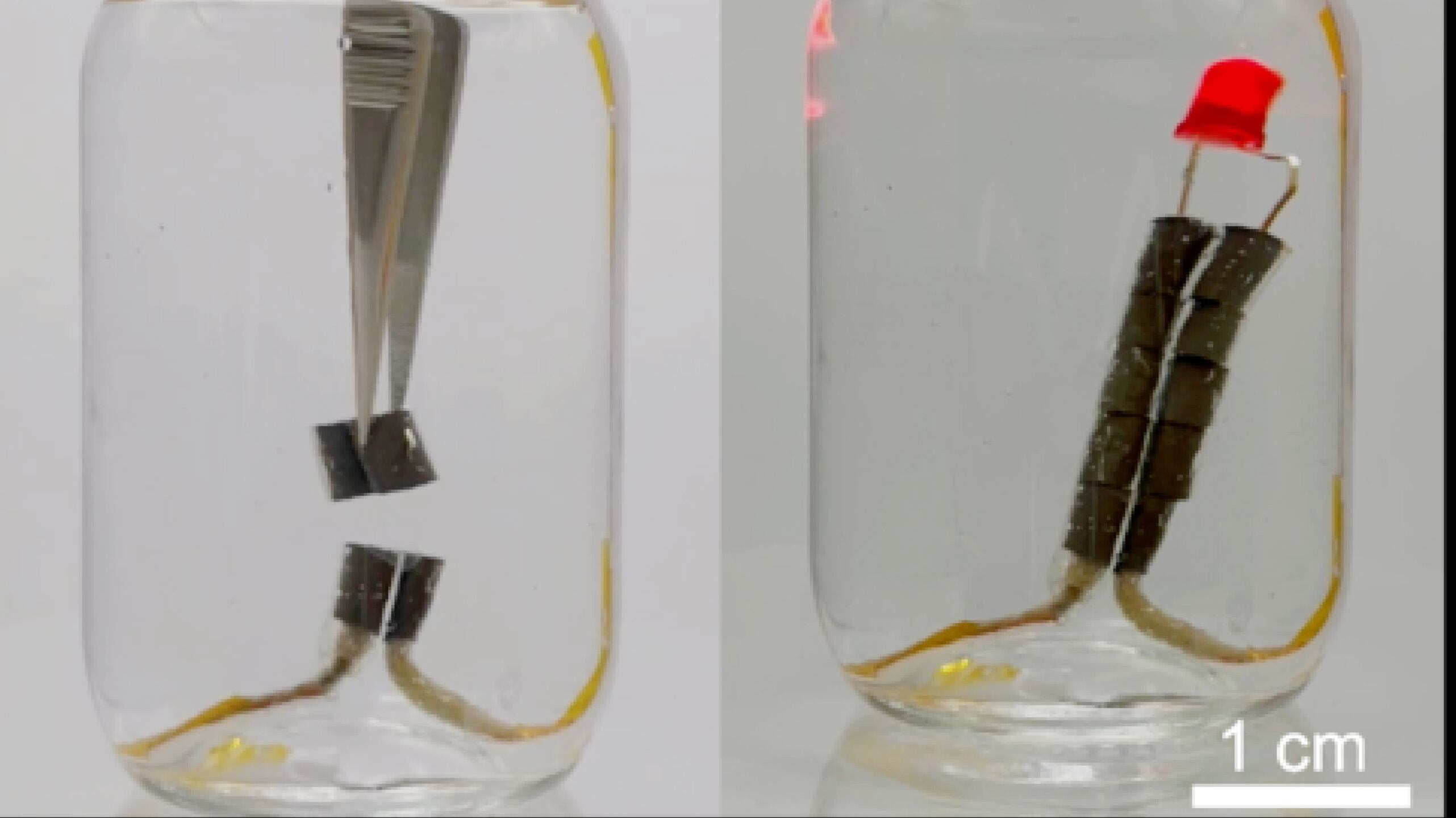 Piel sintética para robots