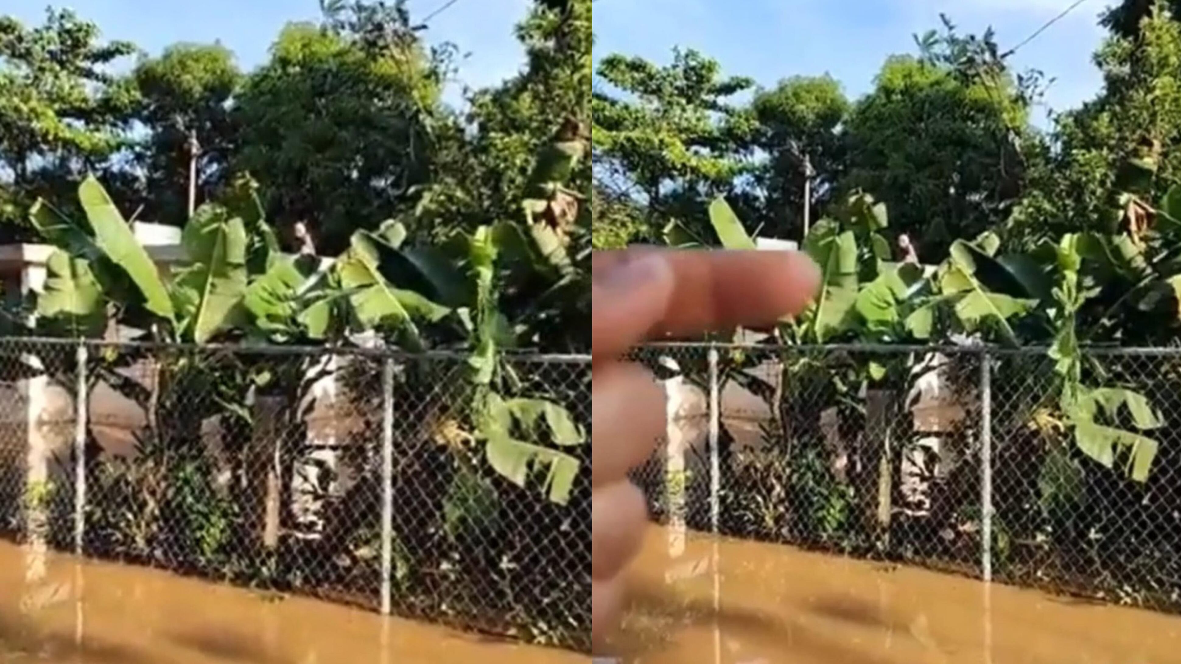 (captura de pantalla Facebook @Kabir B. Solares García)