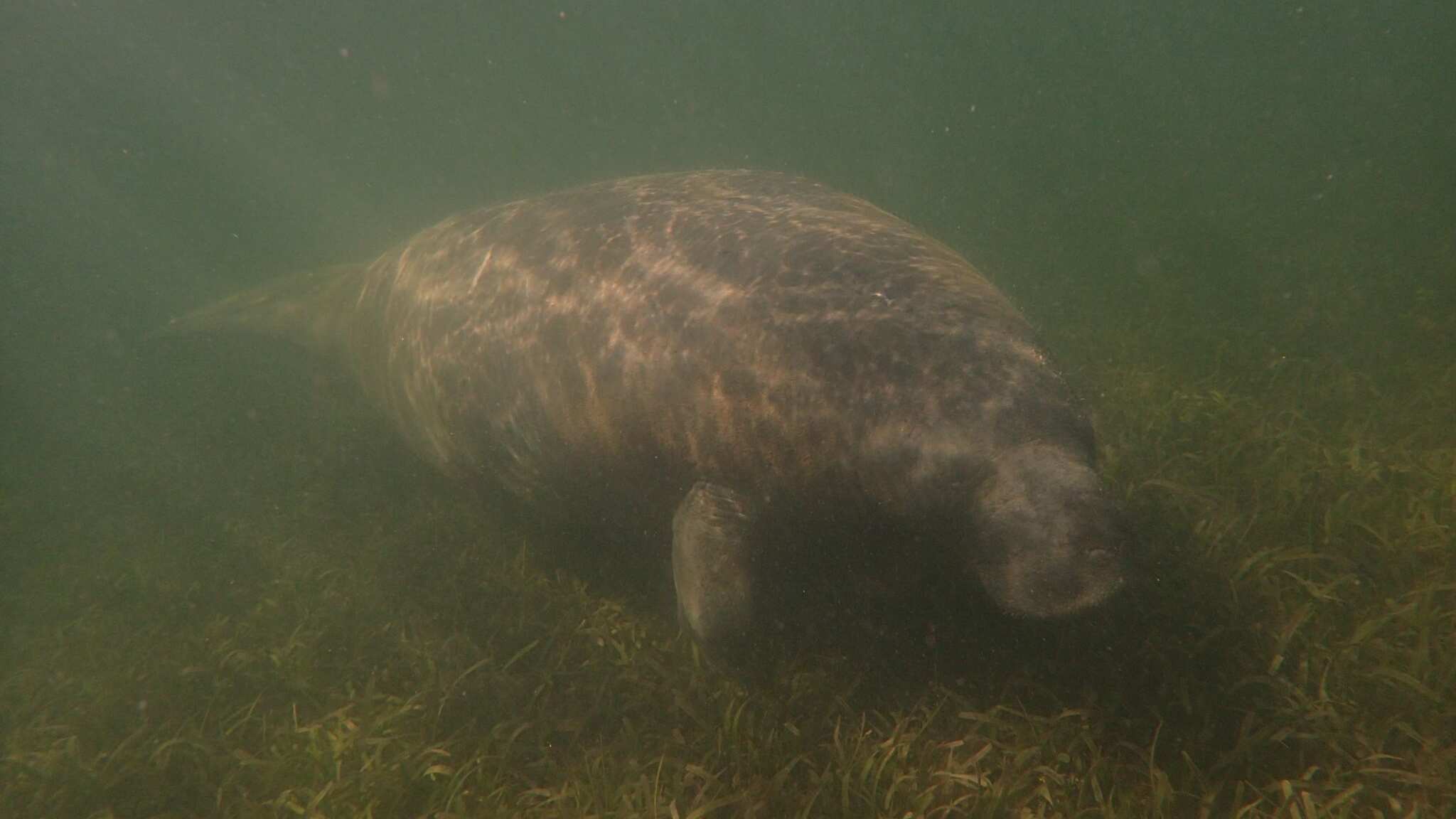 DRNA informa que se encuentra en buen estado