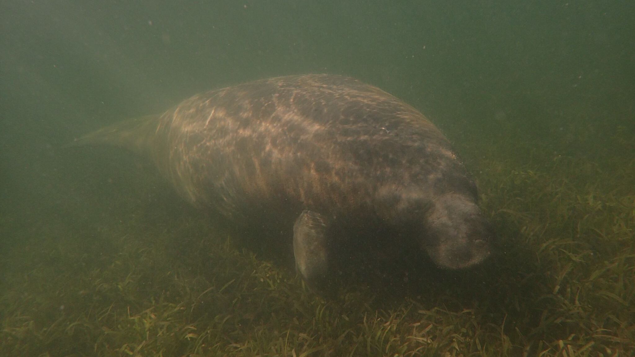 DRNA informa que se encuentra en buen estado