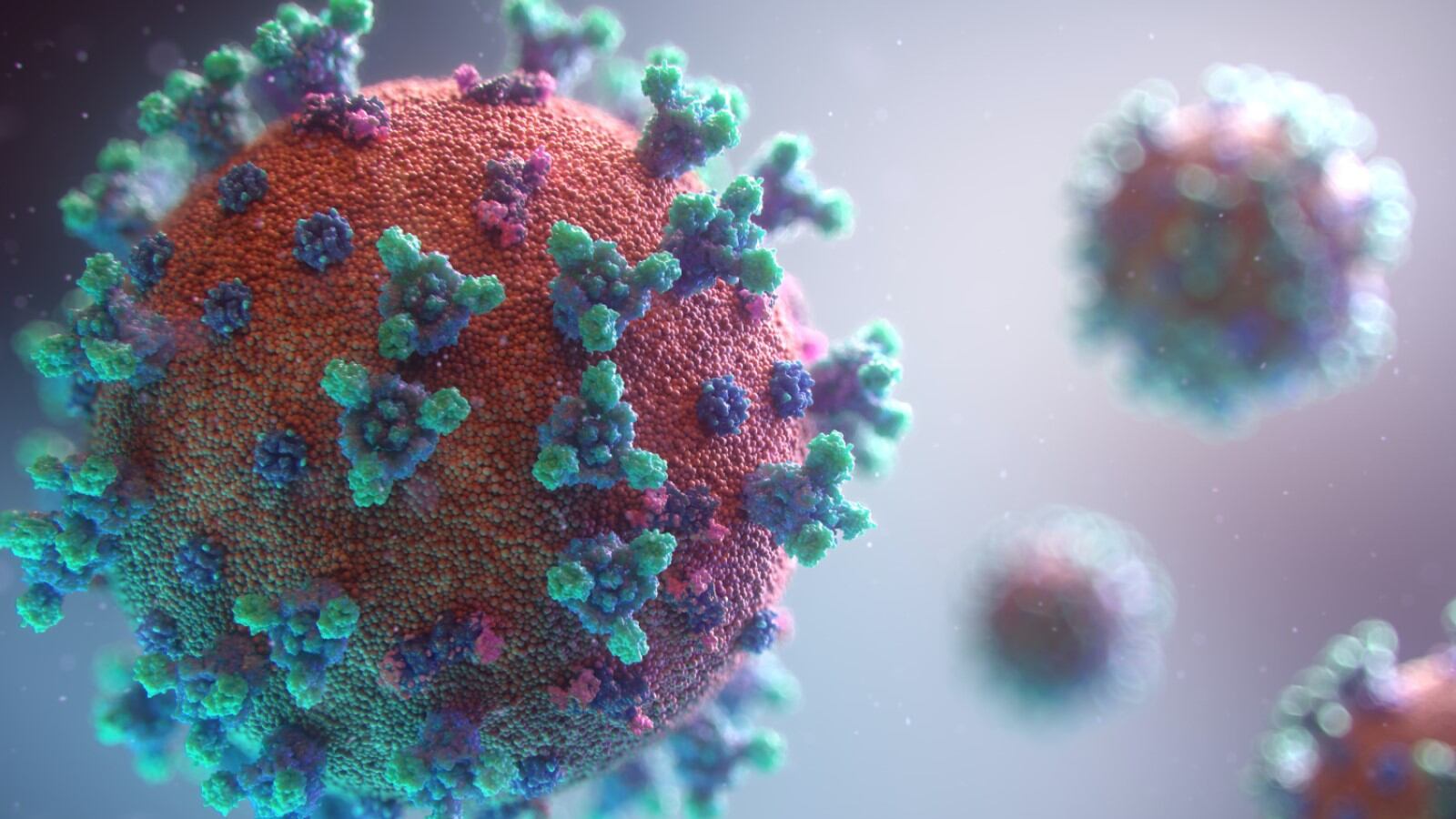 Imagen representativa de un virus. Foto: Unsplash