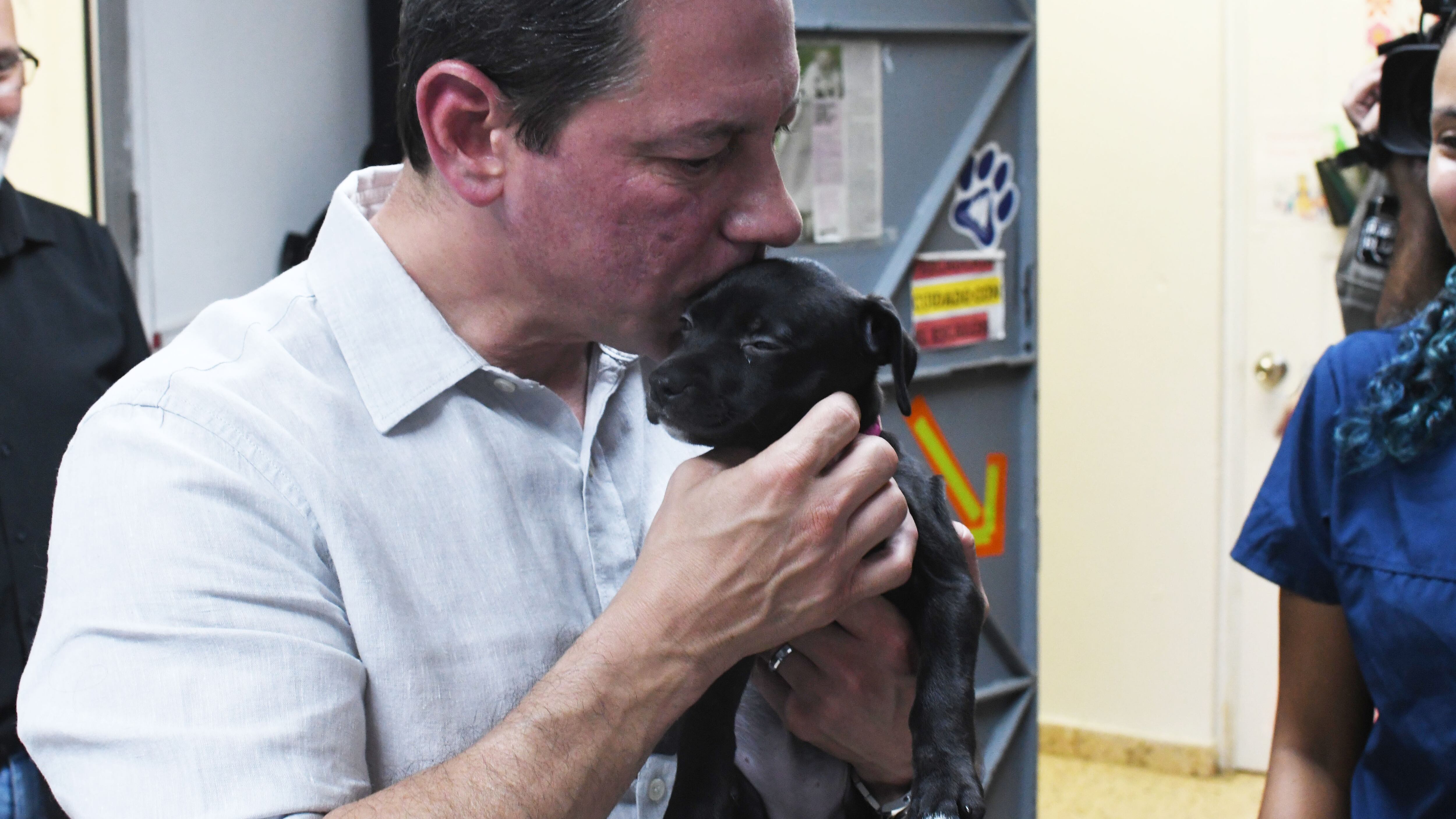 Juan Dalmau, ofrece propuestas para lidiar con la población animal