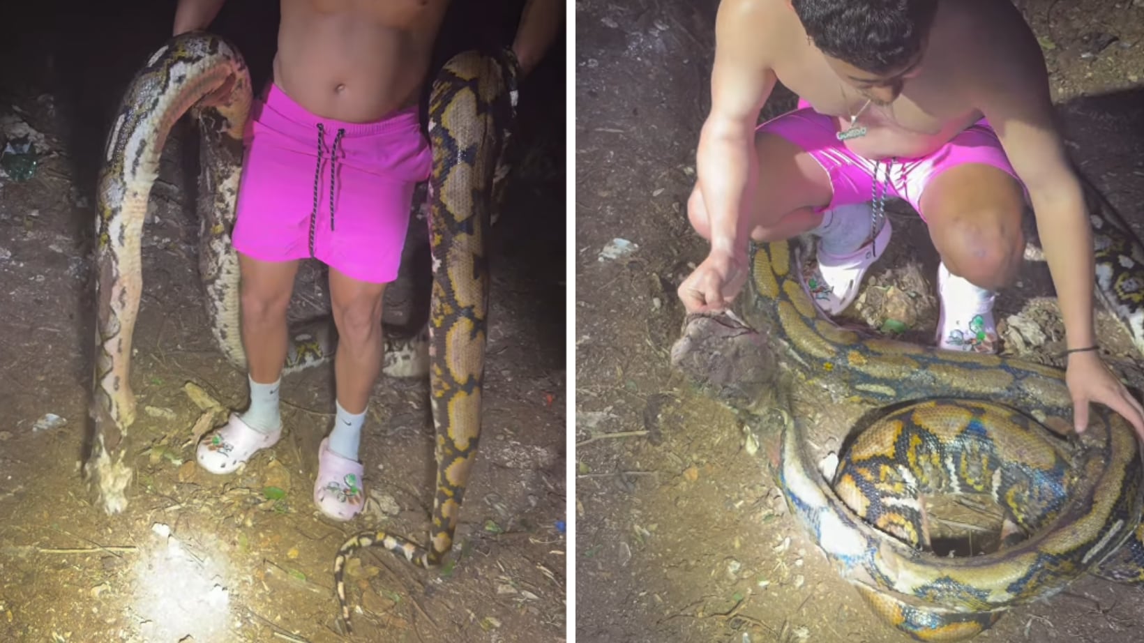 Culebra 19 pies en Barceloneta