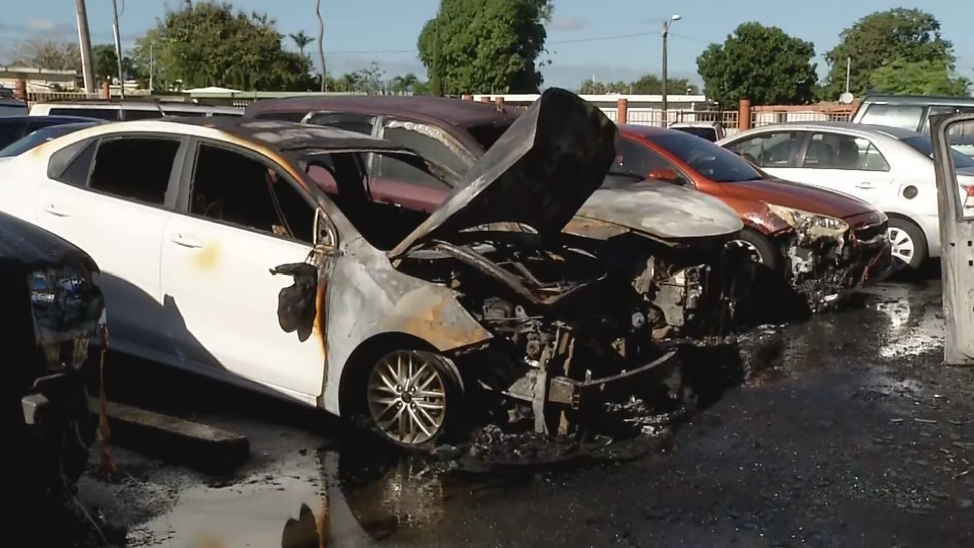 Investigan incendio de varios vehículos en residencial de Bayamón.