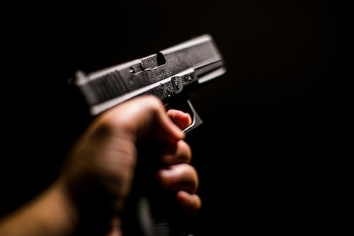 Presentan proyecto para establecer la Licencia de Armas Digital en Puerto Rico