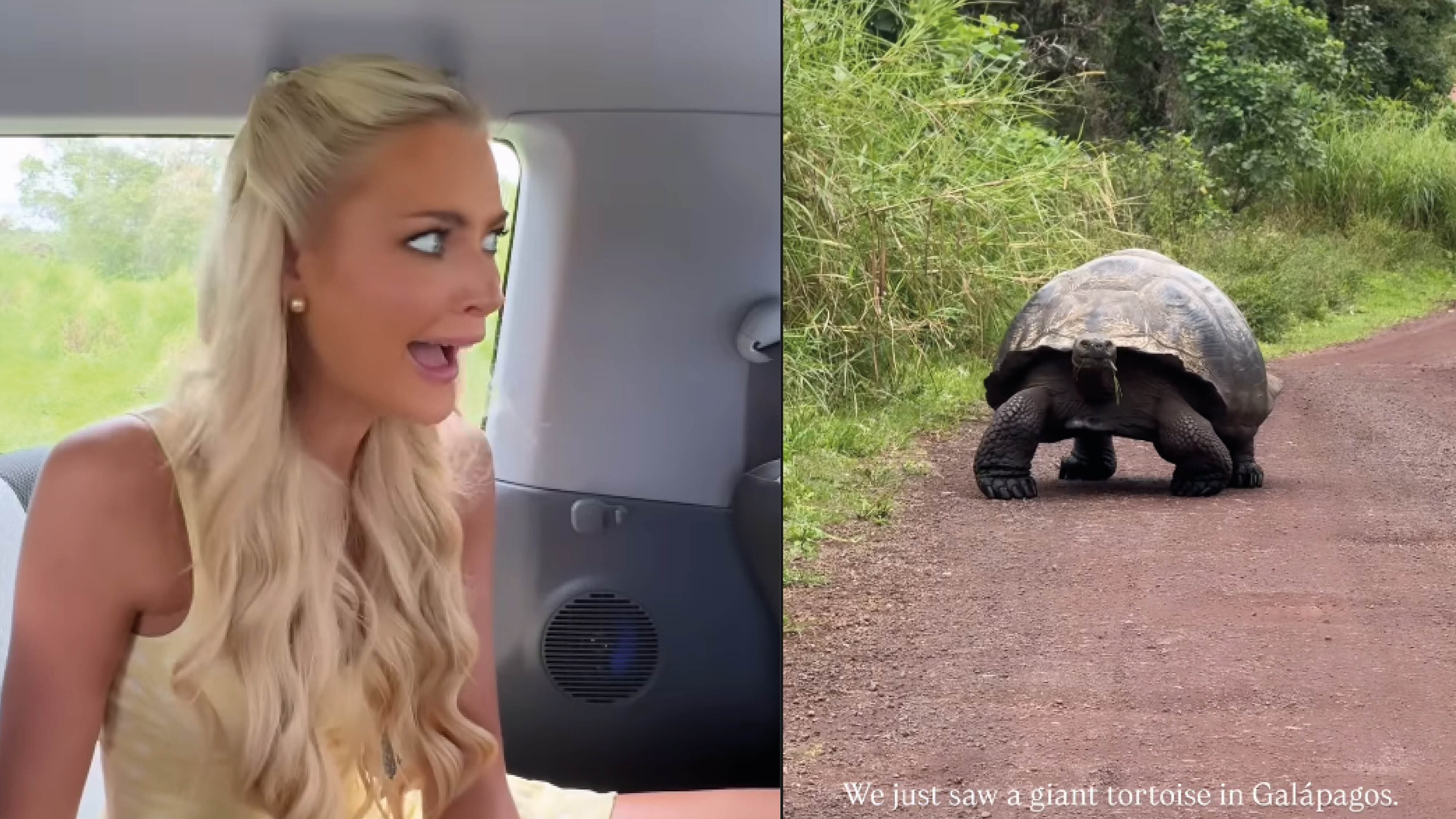 Miss Universo Victoria Kjaer