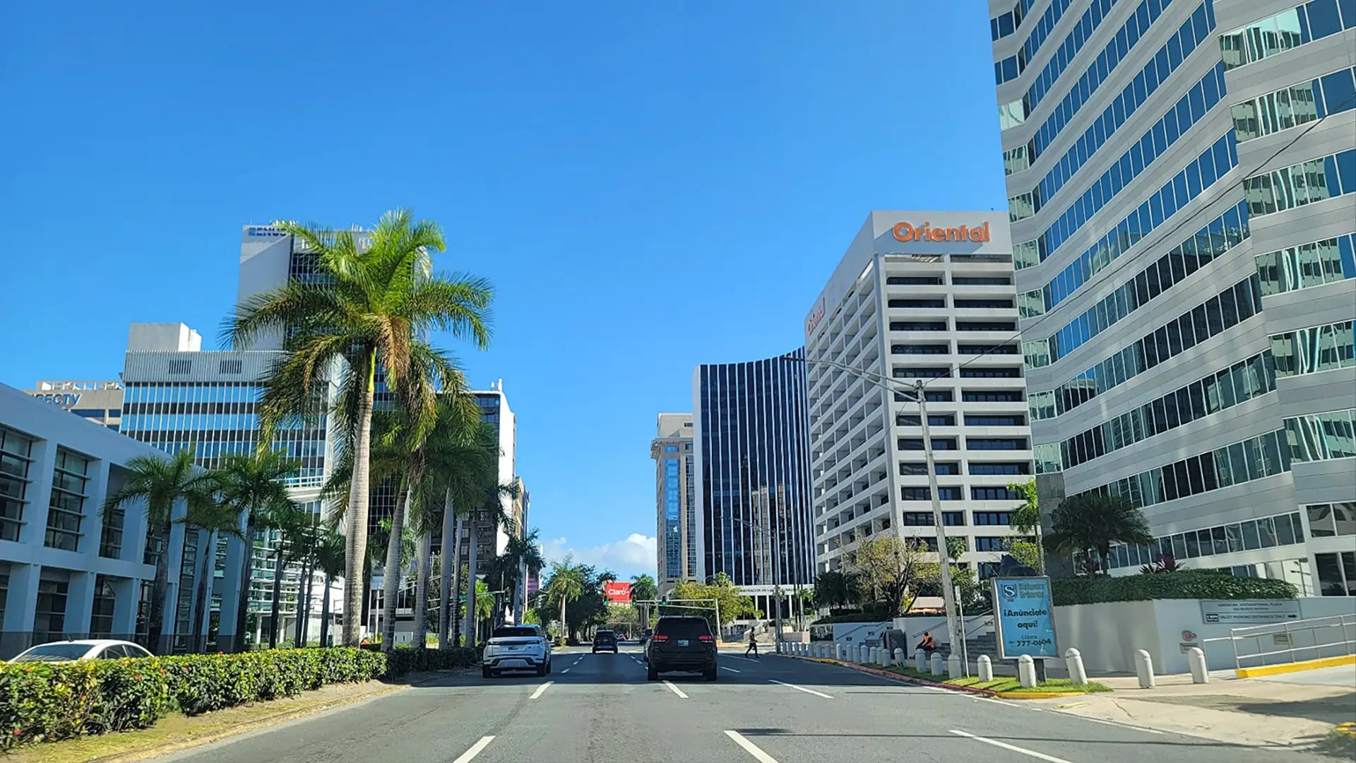 Avenida Luis Muñoz Rivera