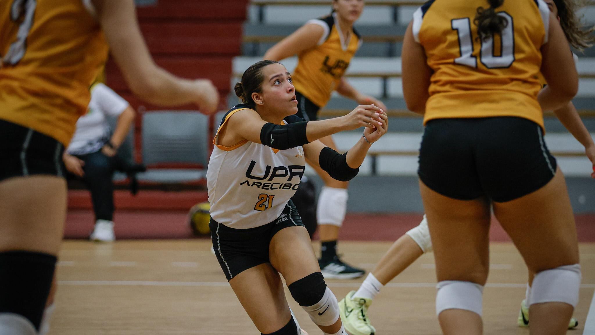 Inicia la postemporada del voleibol universitario de la LAI.