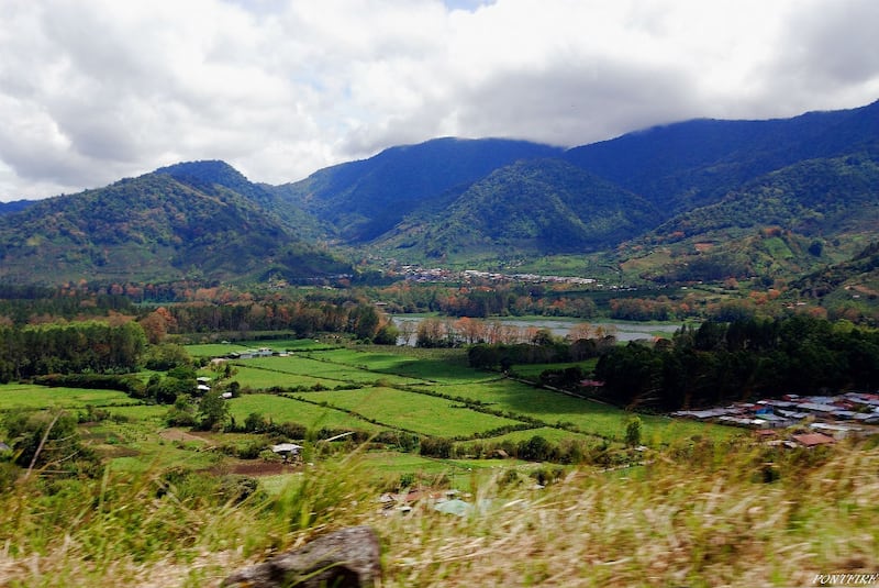 Cachí