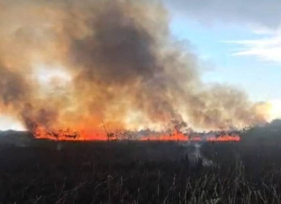 Reportan incendio forestal en Vega Baja