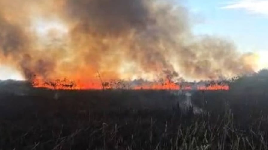Reportan incendio forestal en Vega Baja