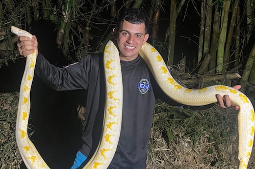 Gongo Fishing celebra su cumpleaños agradeciendo el apoyo de sus seguidores