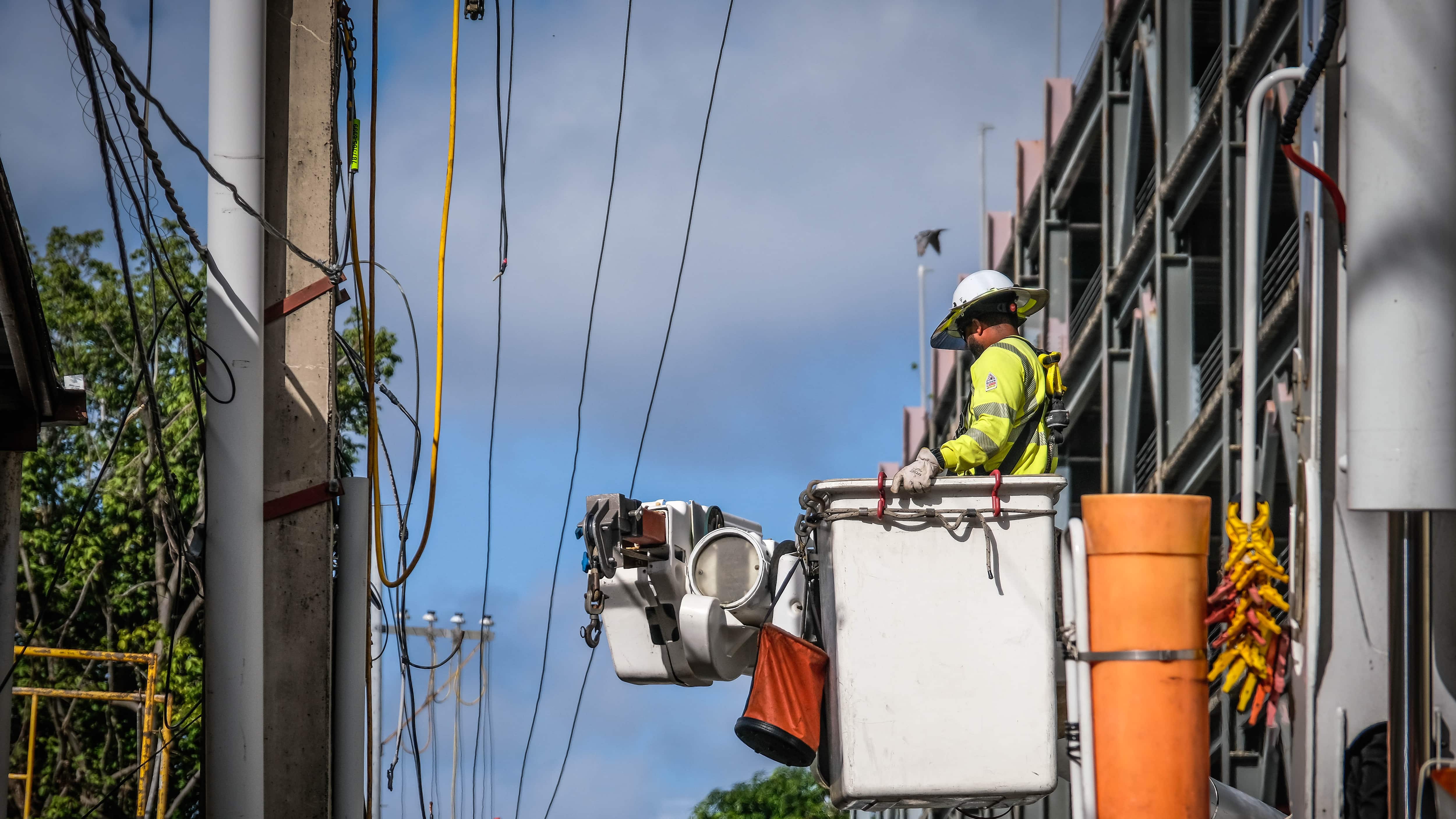Trabajadores de LUMA Energy en trabajos de mantenimiento.
