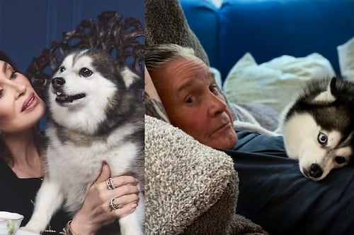 Perrito de Ozzy Osbourne muere a tres meses del deceso del cantante: “Ahora está con él”