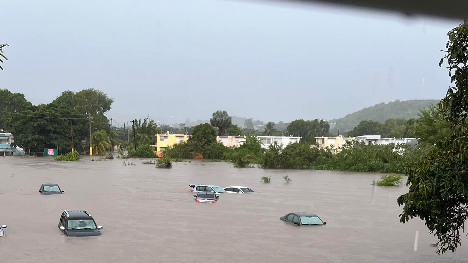 Escuela especializada Ernesto Ramos Antonini en Yauco