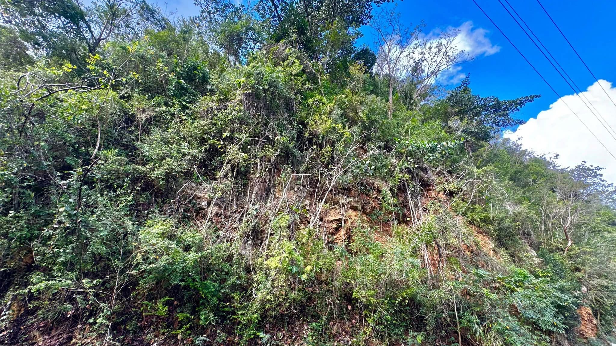 Autoridades advierten que el deterioro acumulado desde el huracán María podría provocar el colapso de la vía y afectar servicios esenciales.